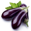 Aubergine - Eggplant